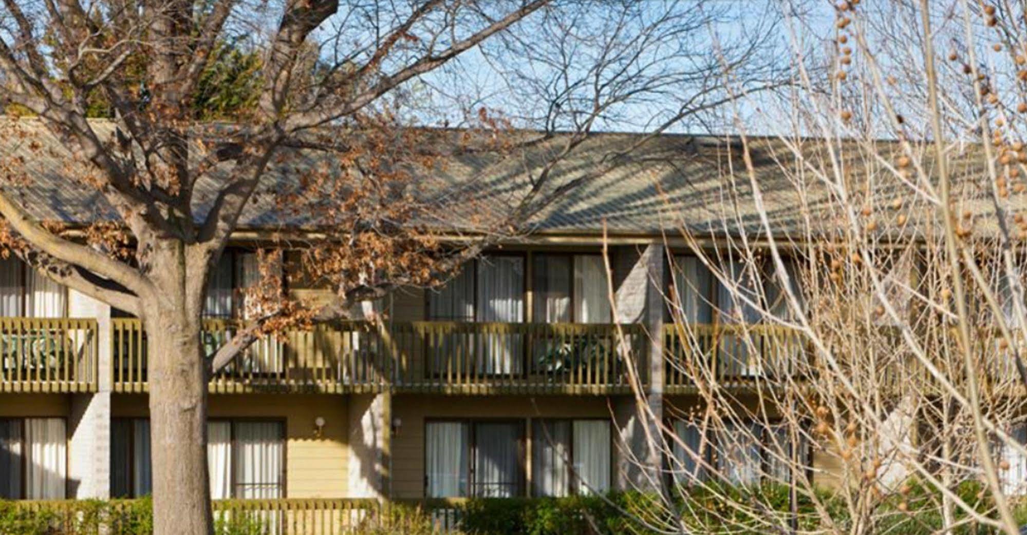 Tall Trees Ainslie Motel Canberra Extérieur photo